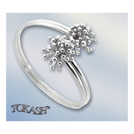 Pulsera de Plata