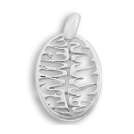 COLGANTE DE PLATA OVALADO